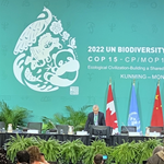 COP 15 | El nuevo Marco Mundial de la Biodiversidad debe ser el 'el piso, no el techo' para la acción global frente a la crisis de biodiversidad