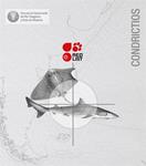 Evaluación del estado de conservación de condrictios en el Mar Patagónico